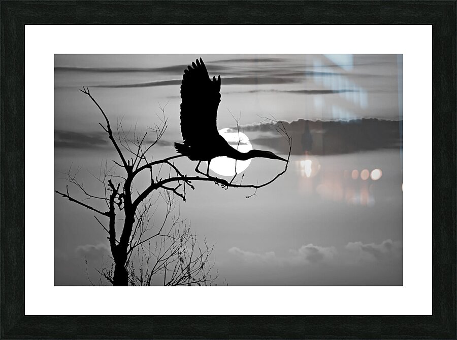 Sunrise is for the Birds by Maureen Ravnik  Picture Frame Printing