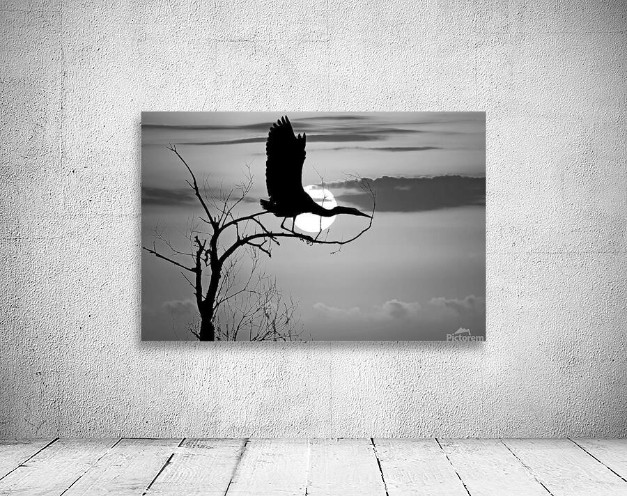 Sunrise is for the Birds by Maureen Ravnik  Wall Preview