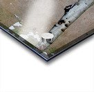 DSC 0066 Acrylic print
