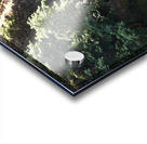 Waterfall 2 Acrylic print