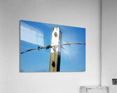 DSC 0778 Acrylic Print