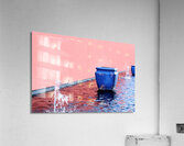 DSC 1979 Acrylic Print