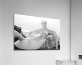 DSC 1990 Acrylic Print