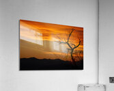 Sunset Acrylic Print