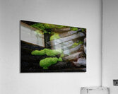 Mossy Rocks Acrylic Print