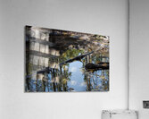 Aspen Reflections Acrylic Print