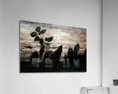 Shadows on Log Acrylic Print