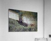 Moose Acrylic Print