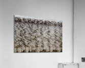 Frozen Spray Acrylic Print