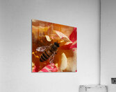 Bee on YellowOrange Flower Acrylic Print