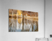 Barn Reflection Acrylic Print