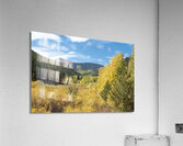 Fall Colors 4 Acrylic Print