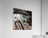 Rusty Curves Acrylic Print
