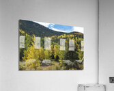 Wavy Fall Colors Acrylic Print