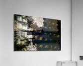 Bridge Shadow Acrylic Print