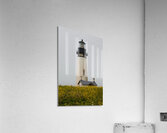 JB0 4272 Acrylic Print
