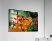 JB0 4874 Acrylic Print
