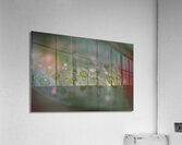 JB0 6094 Acrylic Print