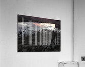 IMG 2062 Acrylic Print