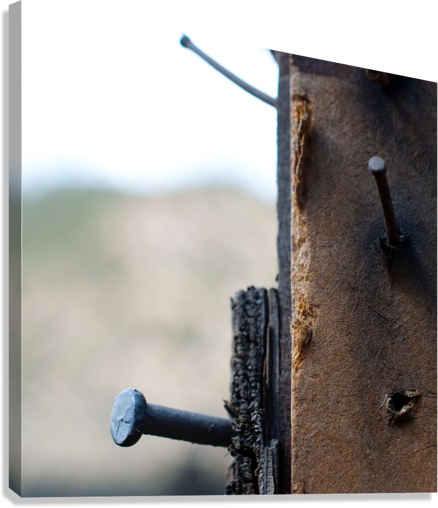 Nails in Wood Canvas Print
