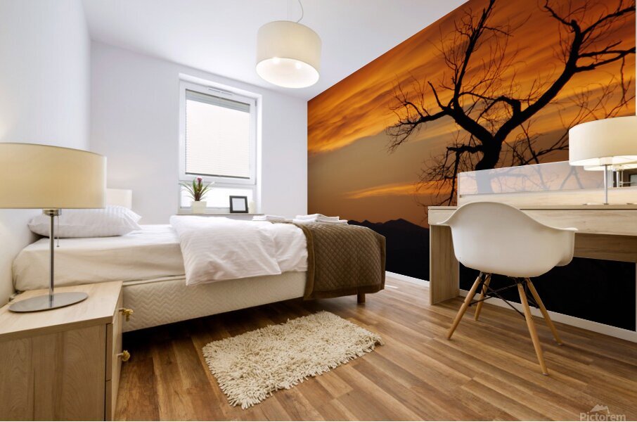 Sunset Mural print
