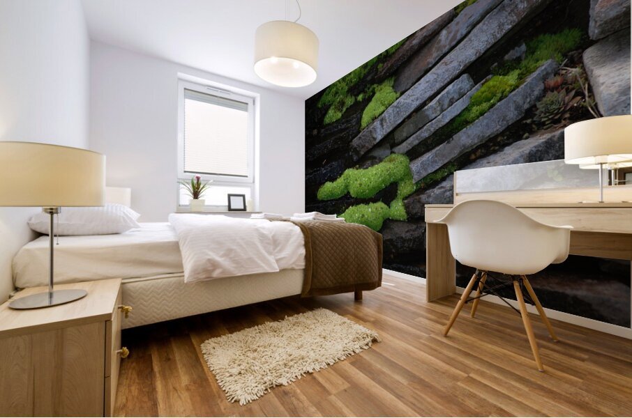Mossy Rocks Mural print
