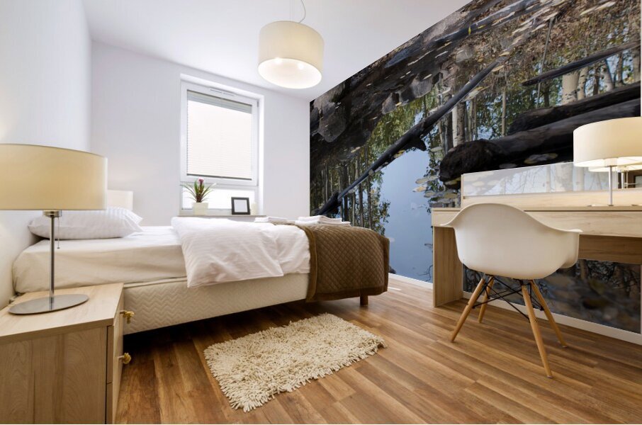 Aspen Reflections Mural print