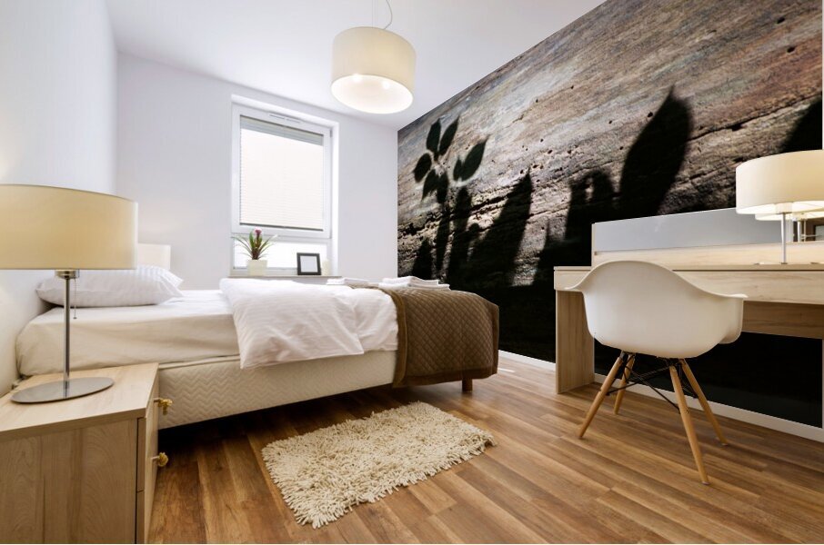 Shadows on Log Mural print
