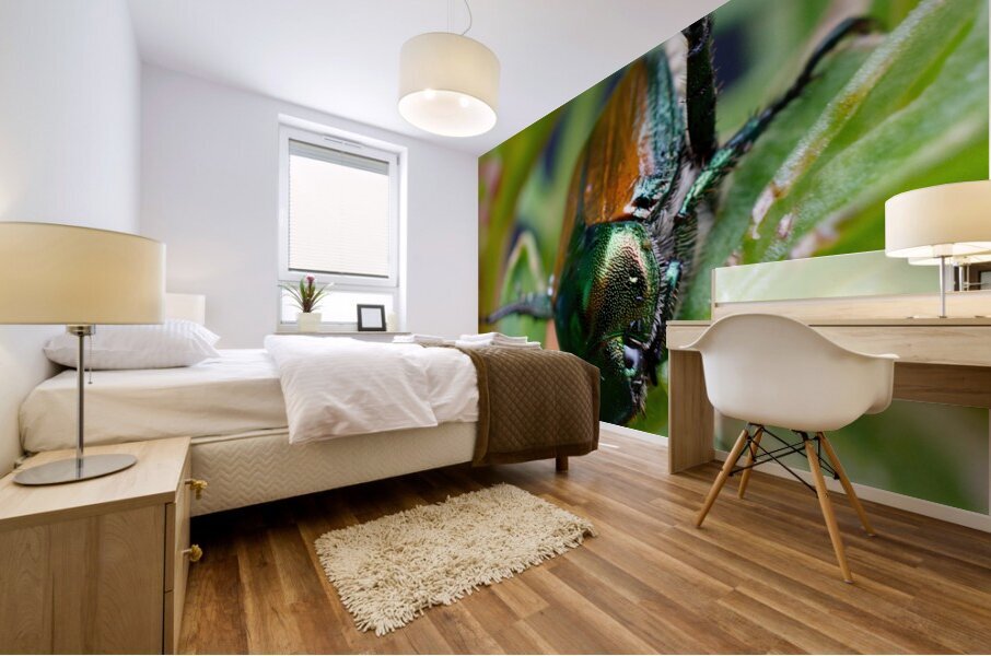 Japanese Beetle Mural print