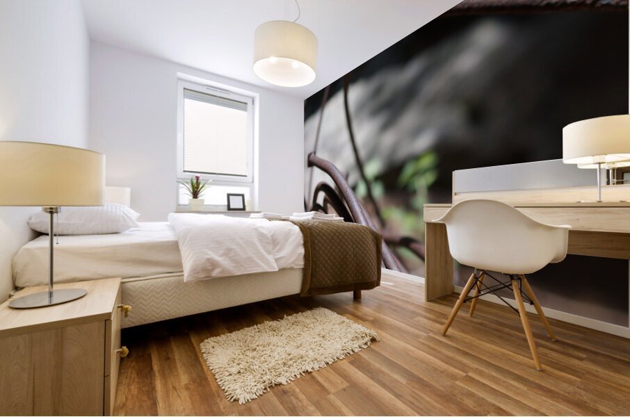 Rusty Curves Mural print