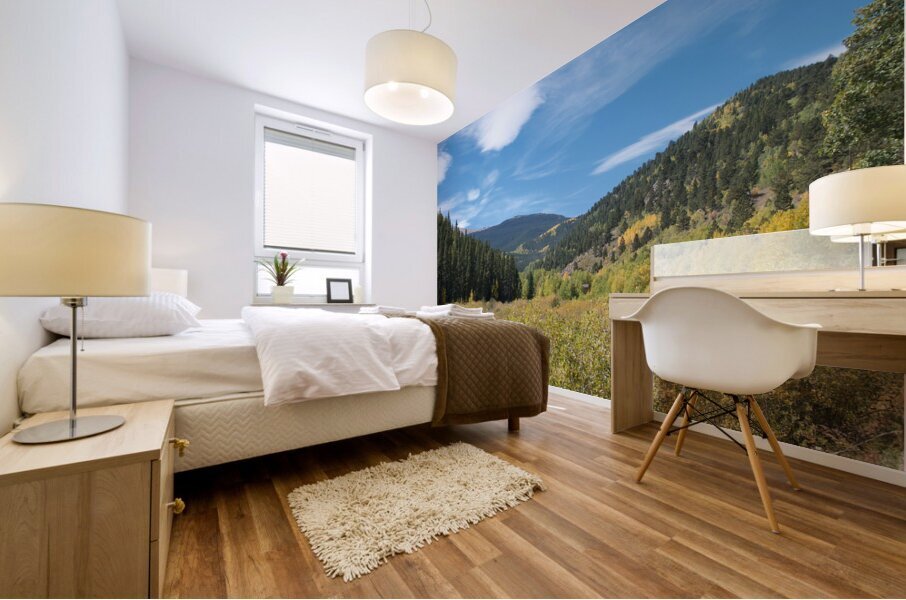 Fall Colors 2 Mural print