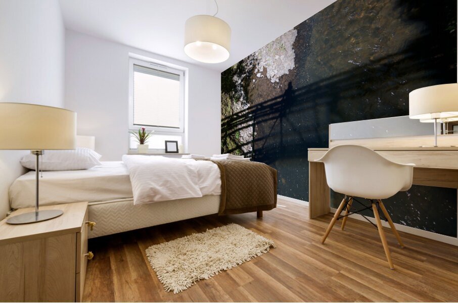 Bridge Shadow Mural print