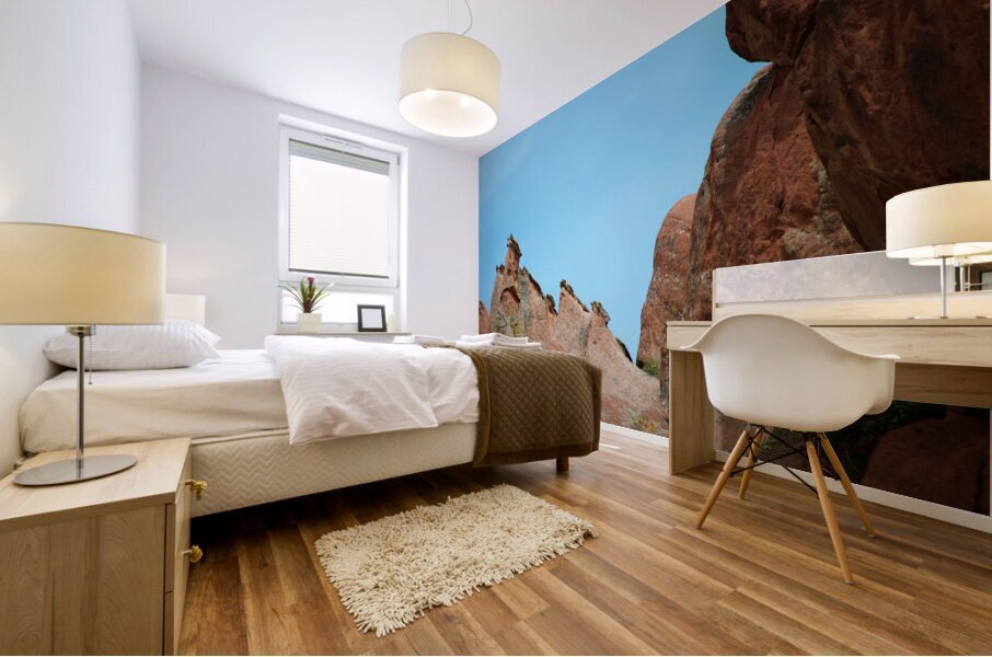 Roxborough 1 Mural print