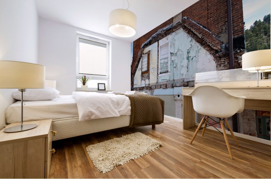 Demolished Mural print