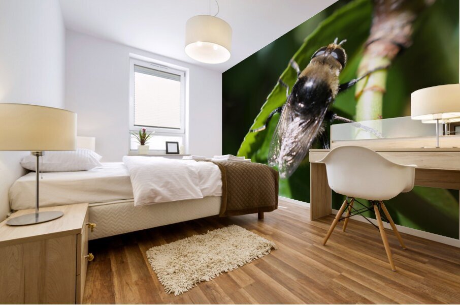 JB0 4048 Mural print