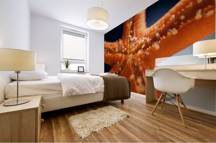 JB0 6157 Mural print