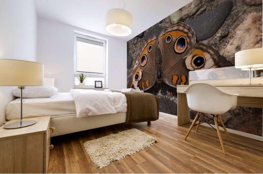 JB0 4867 Mural print