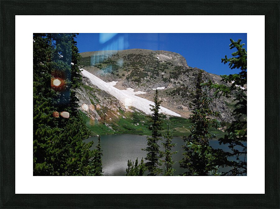 DSC 2506 Picture Frame print