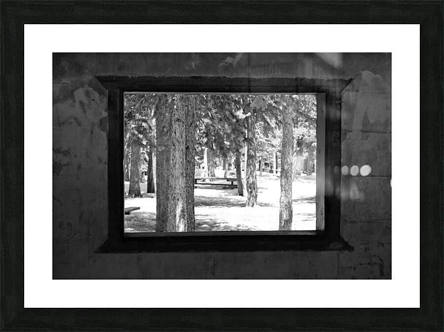 DSC 2125 Picture Frame print