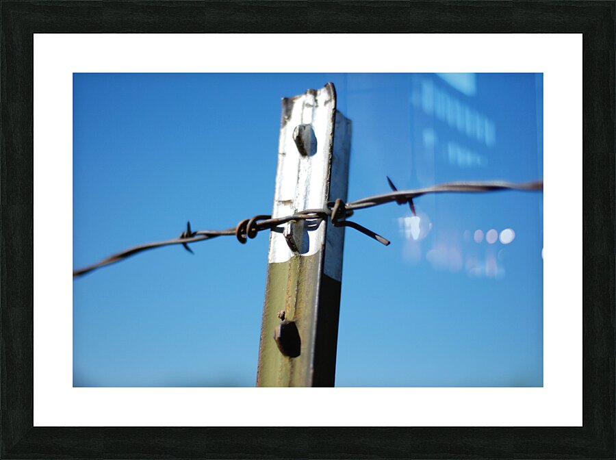 DSC 0778 Picture Frame print