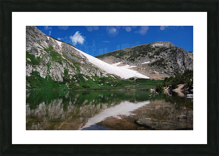 DSC 2384 Picture Frame print