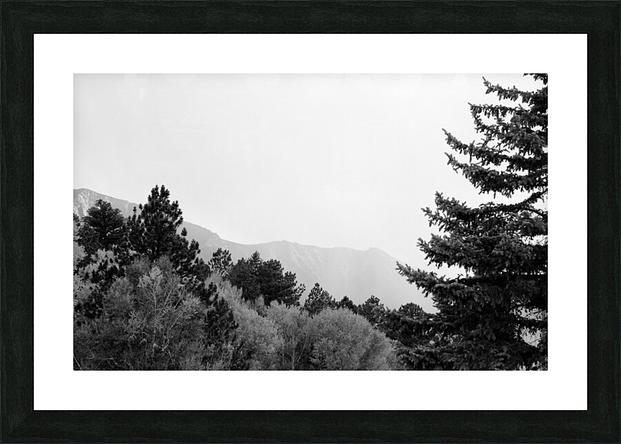 PA032608 Picture Frame print
