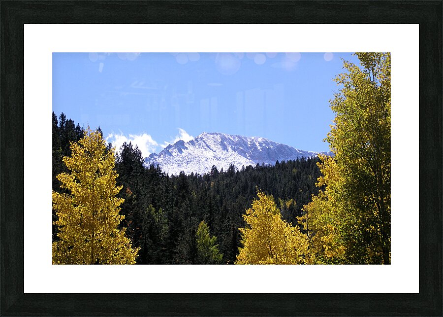 P9243812 Picture Frame print