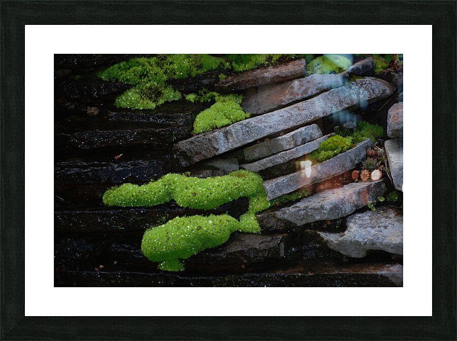 Mossy Rocks Picture Frame print