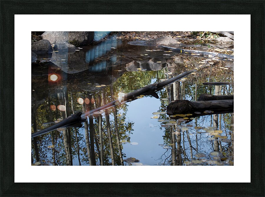 Aspen Reflections Picture Frame print