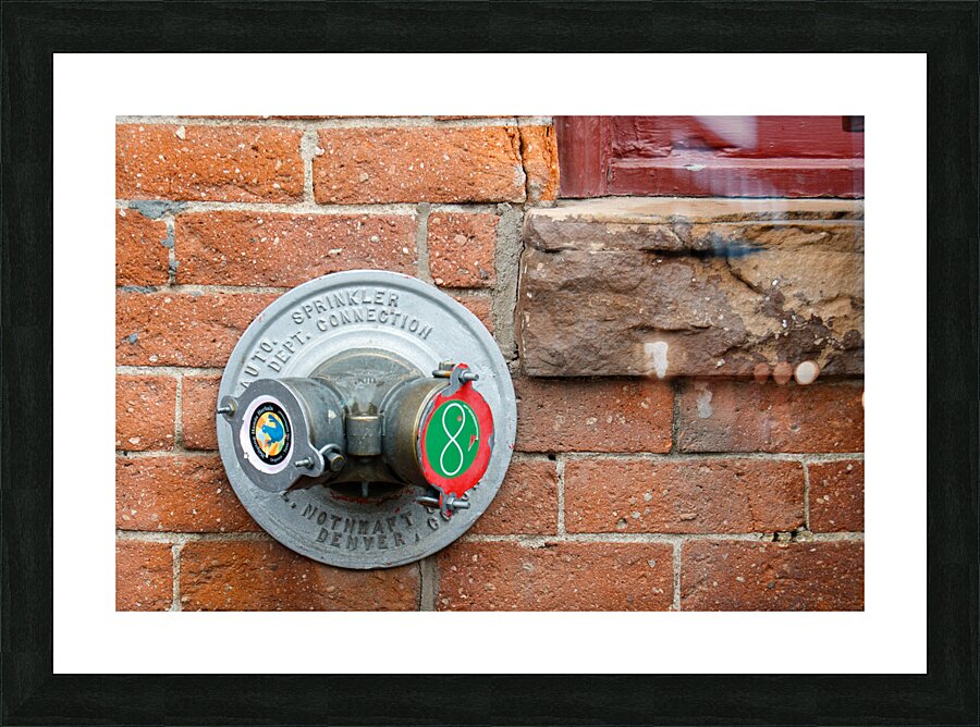 Sprinkler Connection Picture Frame print