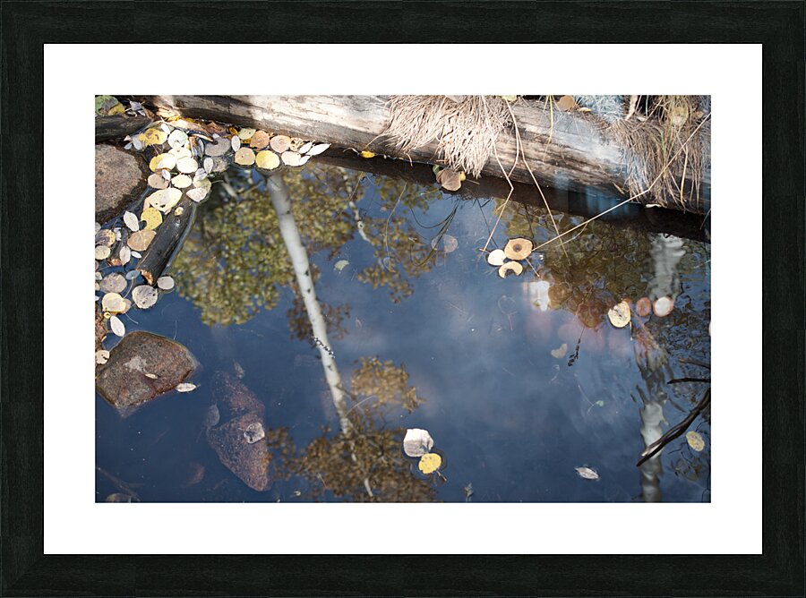 Aspen Reflections 2 Picture Frame print