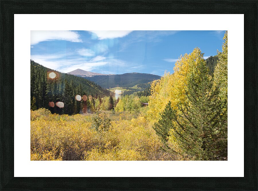 Fall Colors 4 Picture Frame print