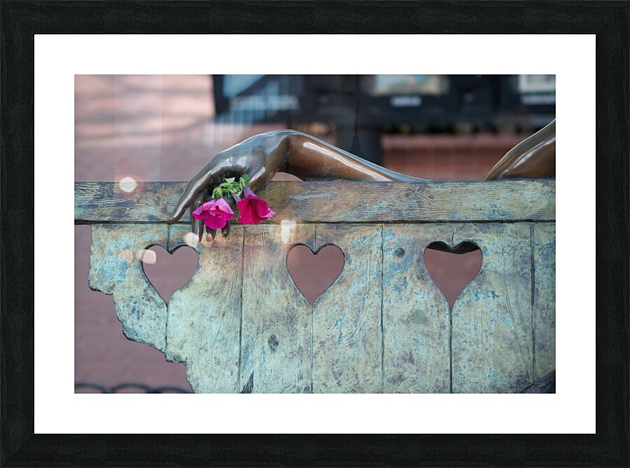 Rose Bench Picture Frame print