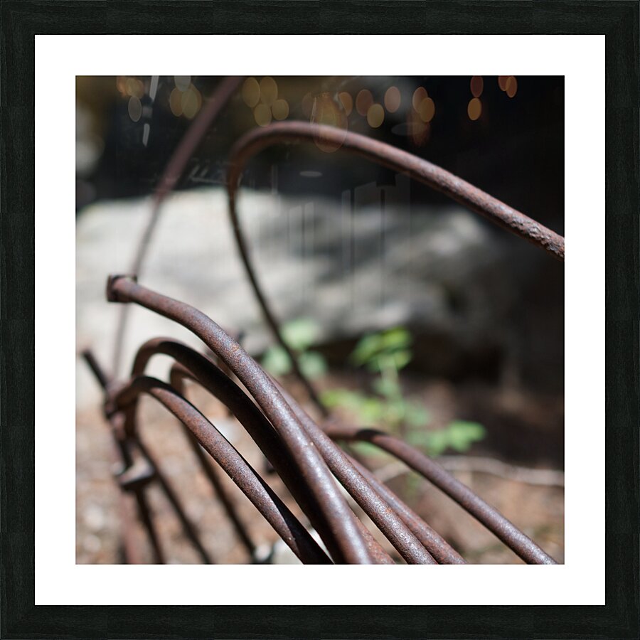 Rusty Curves Picture Frame print